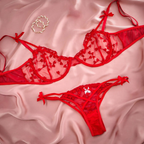 Wired Net Bra & Panty Lingerie Set