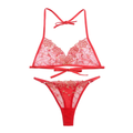 Ruby Muse Embroidered Lingerie Set