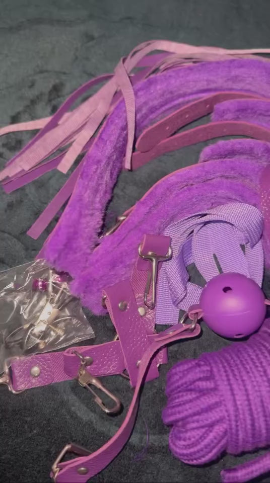 Midnight Submissive Control Essentials Kit – 10 Piece Set