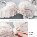 SD - Butterfly Wing Push-Up Bra Set 🦋