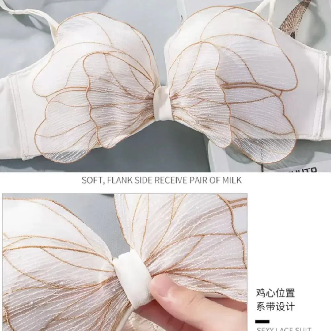 Butterfly Wing Push-Up Bra Set 🦋