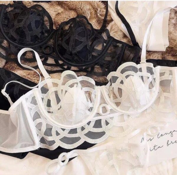 Elegant Sheer Embroidered Lingerie Set - Image 3