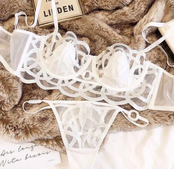 Elegant Sheer Embroidered Lingerie Set - Image 2