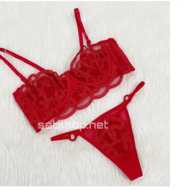 Elegant Sheer Embroidered Lingerie Set - Image 5