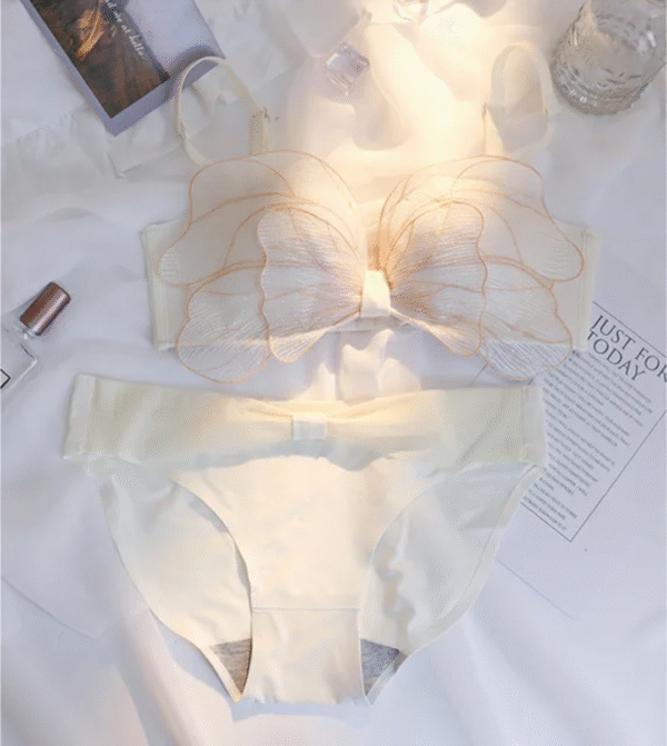 Butterfly Embroidered Lingerie Set - Image 2