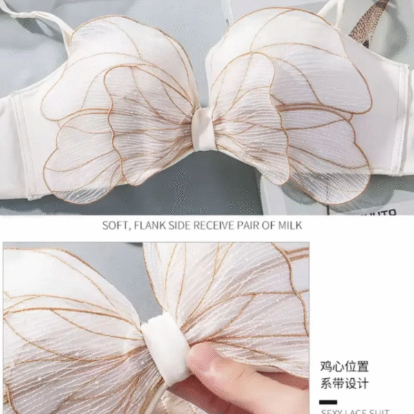 Butterfly Embroidered Lingerie Set - Image 3